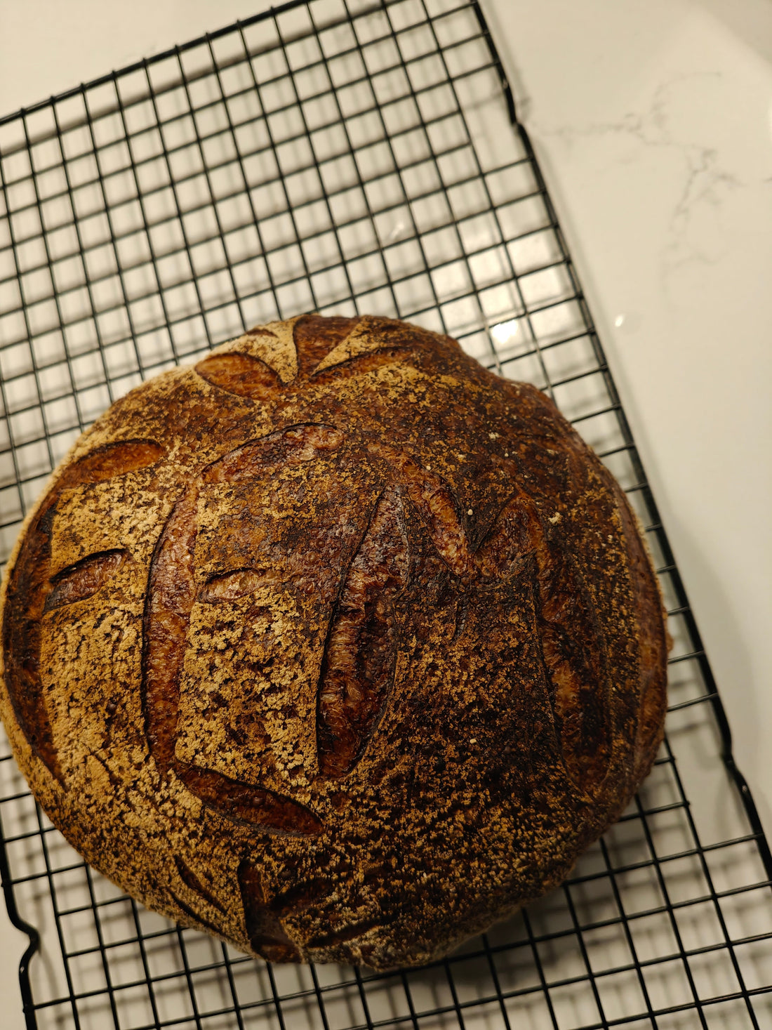 The Daily Ritual of Sourdough: A Love Letter to My Husband's Loaf